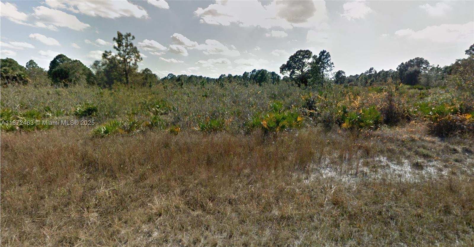 f3b61b38-7288 1132 Randan St E, Lehigh Acres FL 33974 — #A11872463
