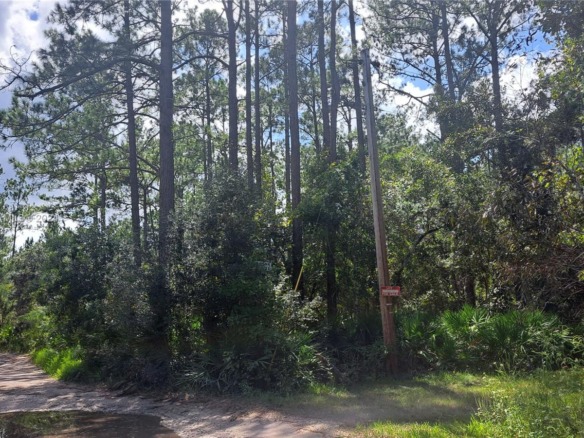 UNDETERMINED NE 42nd ST, Ocala FL 34488 — #A11670157