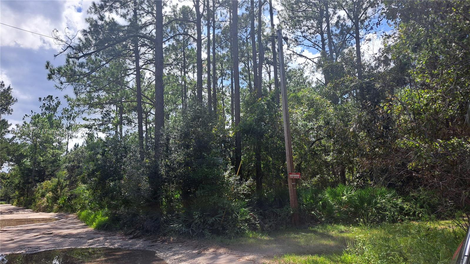 UNDETERMINED NE 42nd ST, Ocala FL 34488 — #A11670157
