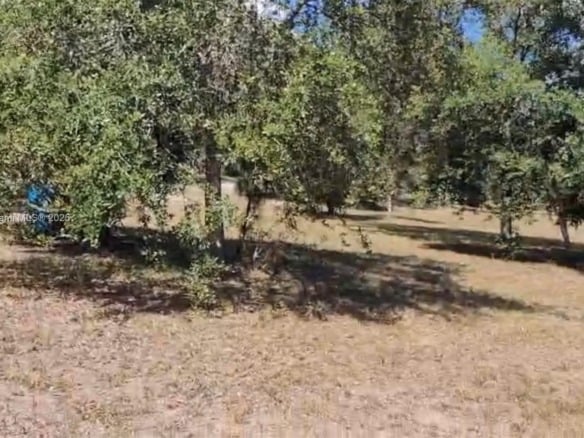 320 S Trebol Street, Clewiston FL 33440 — #A11877813