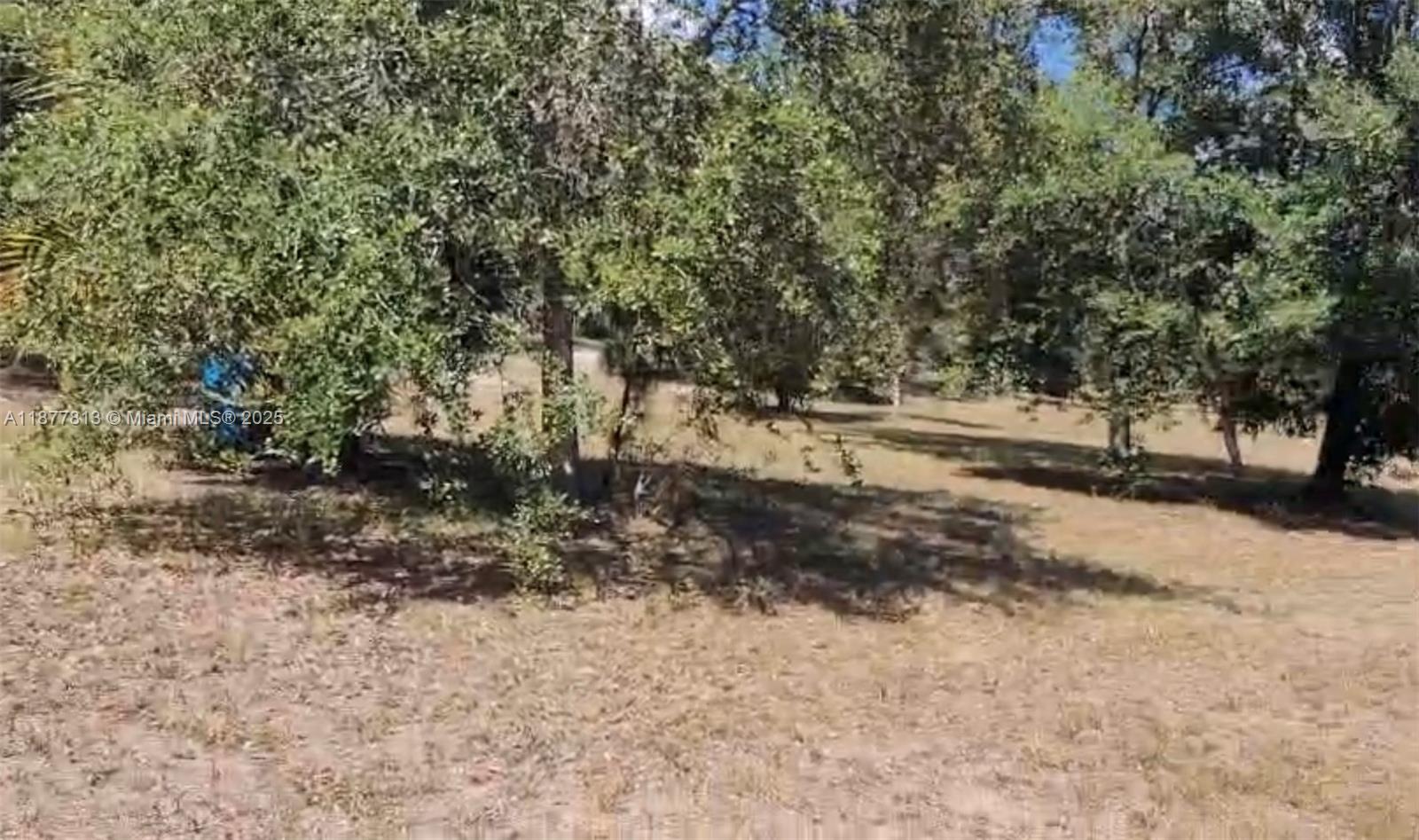 S 320 S Trebol Street, Clewiston FL 33440 — #A11877813