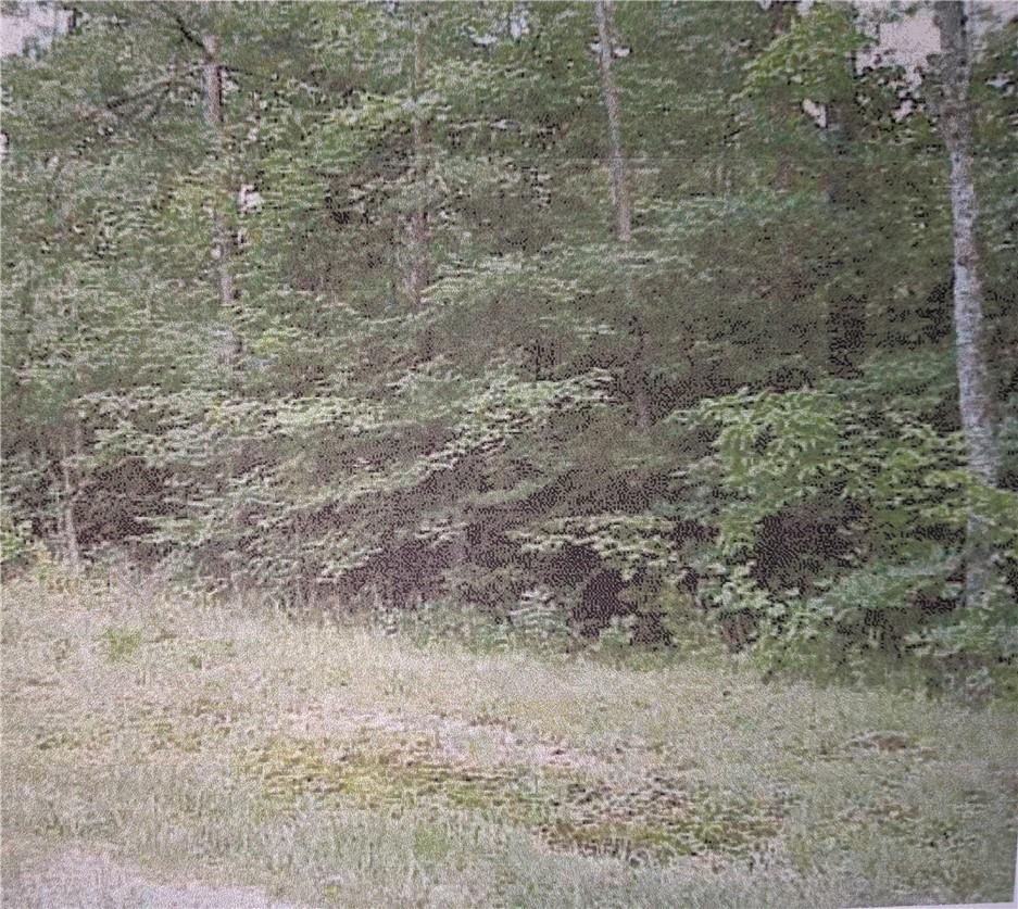 10 Street Place Loop, TN — #F10364070