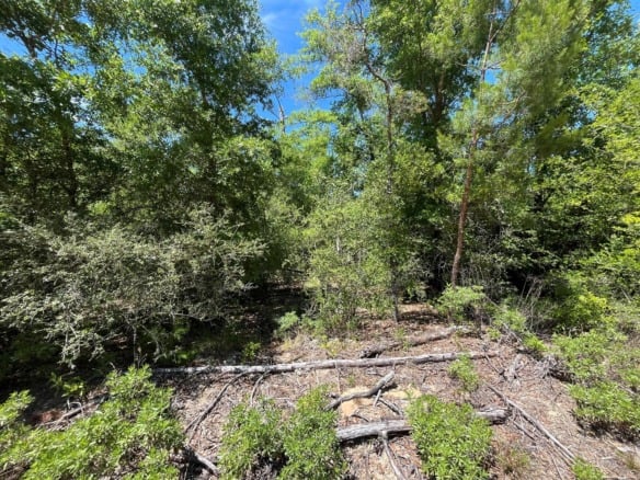 0 Hocking Street, FL 32420 — #R10989320