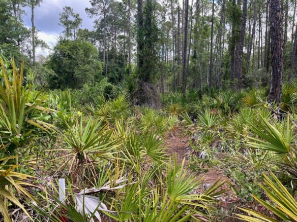 222 Marie Avenue, FL 32139 — #R10989931