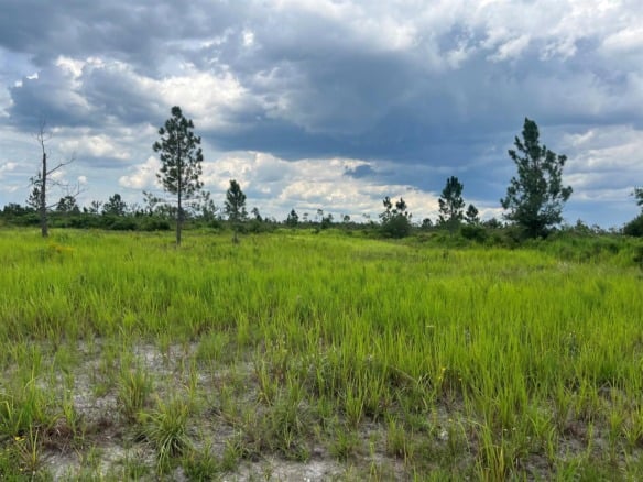 0 Pinnata Drive, Lake Wales FL 33898 — #R11003048