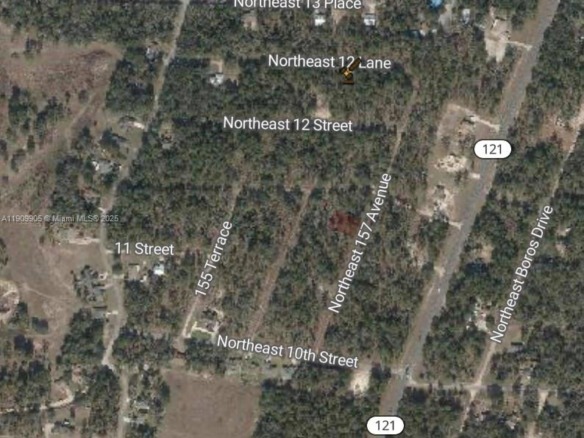 0 NW 157th Ave, Williston FL 32696 — #A11909905