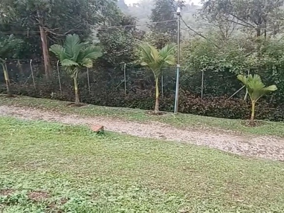 Vereda Mampuesto Sector Garrido #2, C Colombia — #A11910488